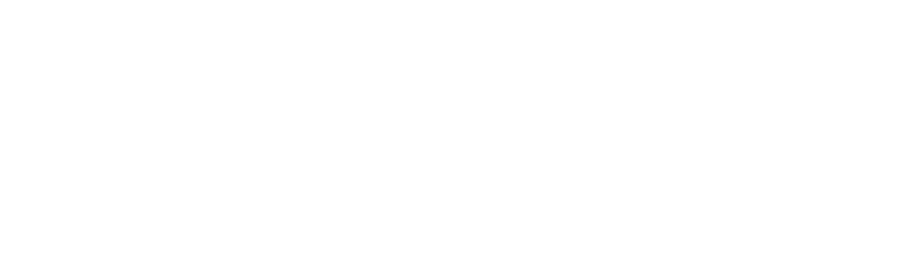 Skyflow Logo